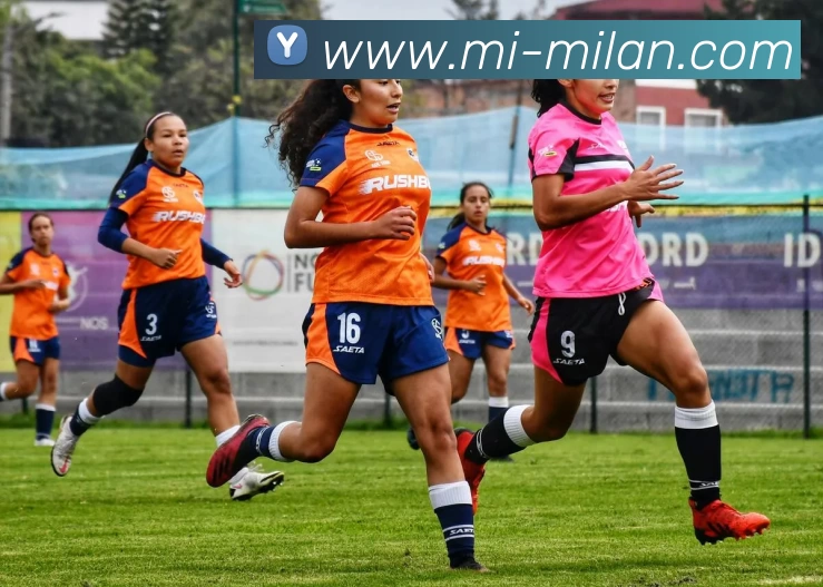 米兰体育APP 封面图